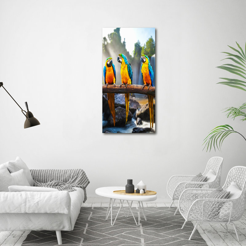 Macaw Parrots - Wrapped Canvas Print