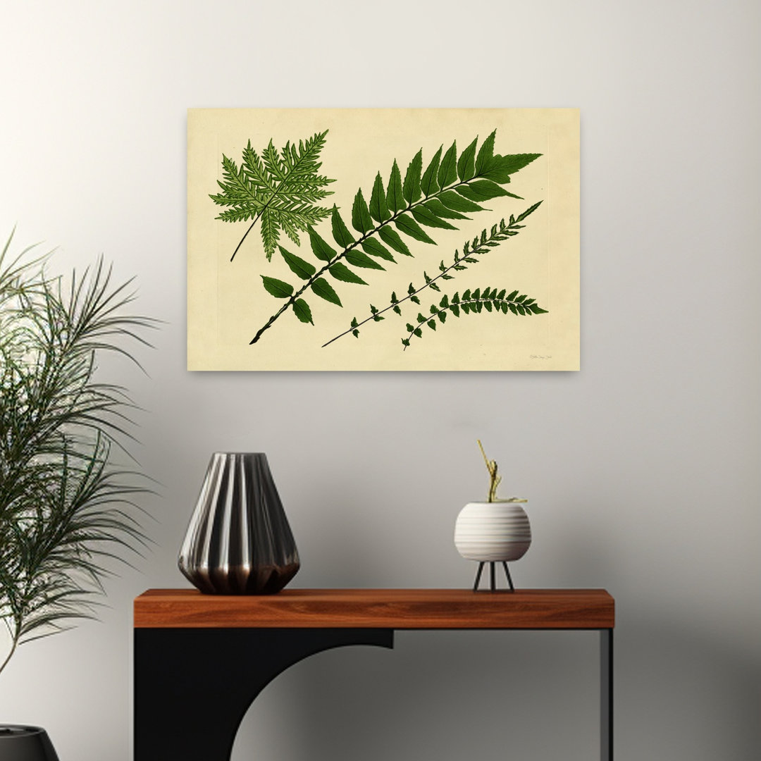 Antique Ferns 2 Abstract Contemporary Fern Landscape Nature Wall Art Print