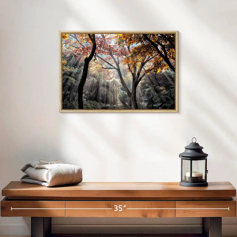 Rayons de soleil de la forêt, Cadre flottant en bois naturel, 19 po x 13 po