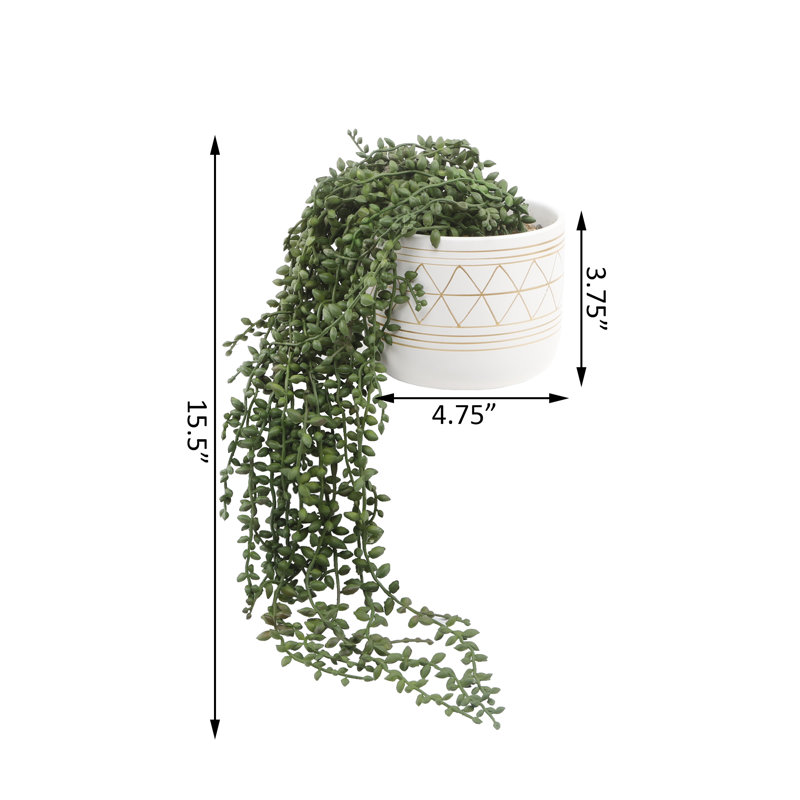 Plante grasse artificielle 15,5 po en pot