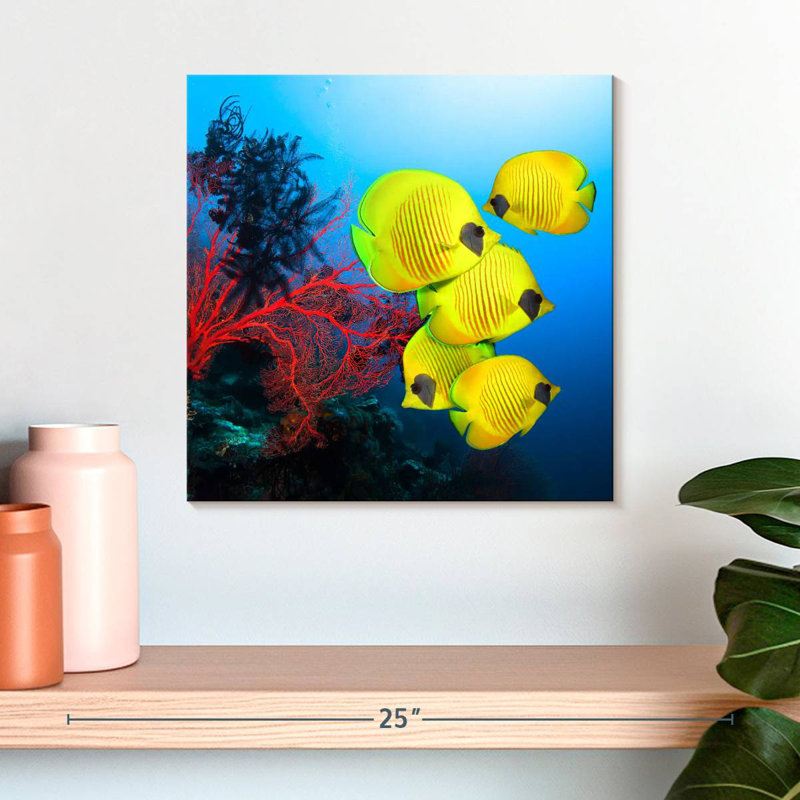 Récif de corail Brampt, H 16 po x l 16 po