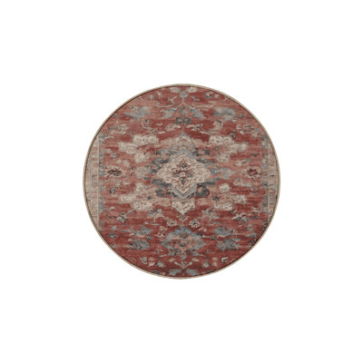 Machine Washable Gray Area Rug