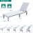 Alizay 74" Long Outdoor Resin Reclining Chaise Lounge-757923994-751297796