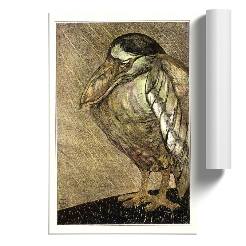 Boat Billed Heron by Theo van Hoytema - Frameless Print, 59cm H x 42cm W x 0.1cm D