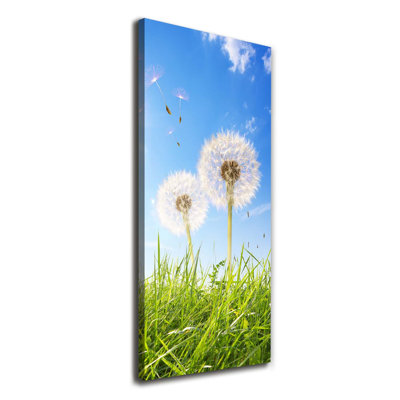 Dandelions in the Meadow 1 Piece Wrapped Canvas Wall Art