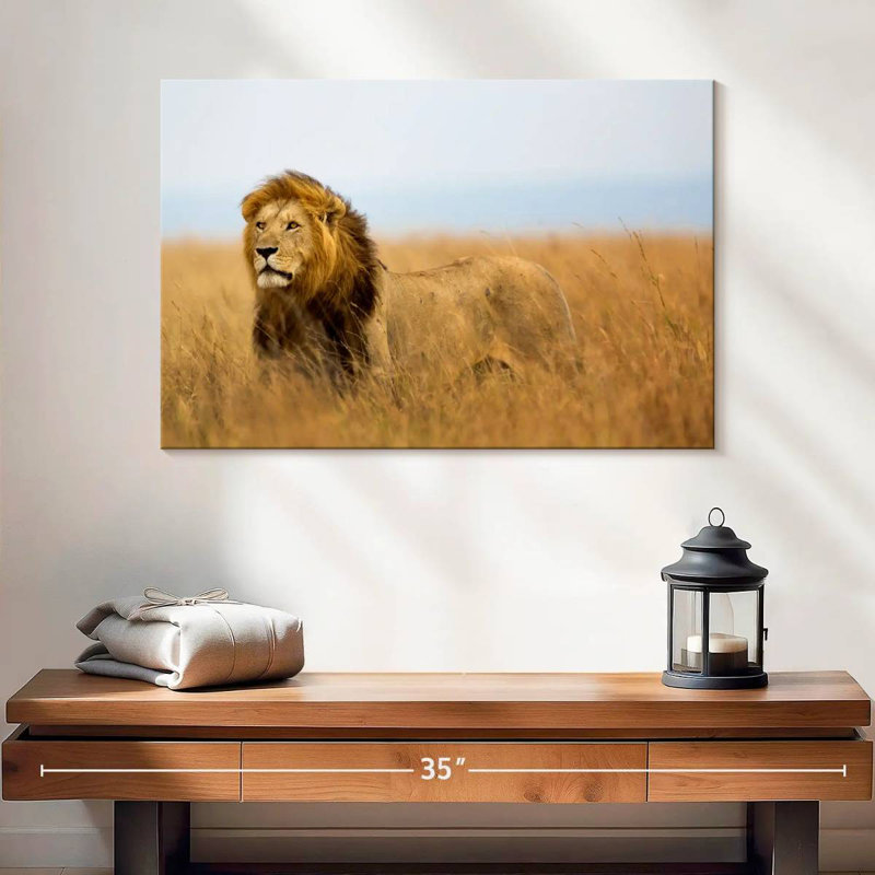 Lion chassant en safari, H 16 po x l 24 po