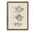 Espresso Framed Canvas n'est pas disponible