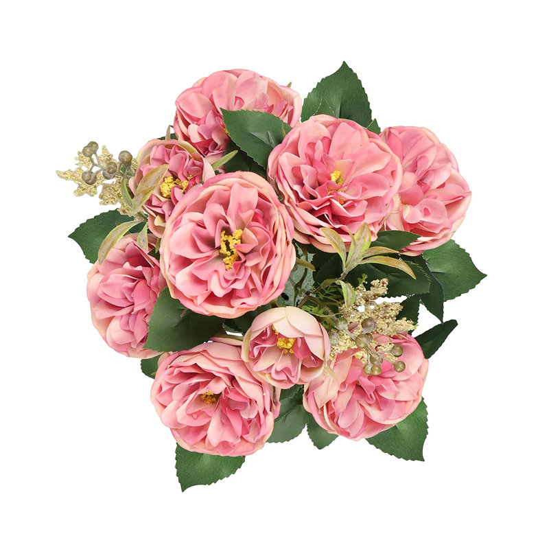Chou rose, Rose