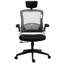 Mapleview Polyester Blend Executive Chair with Headrest
