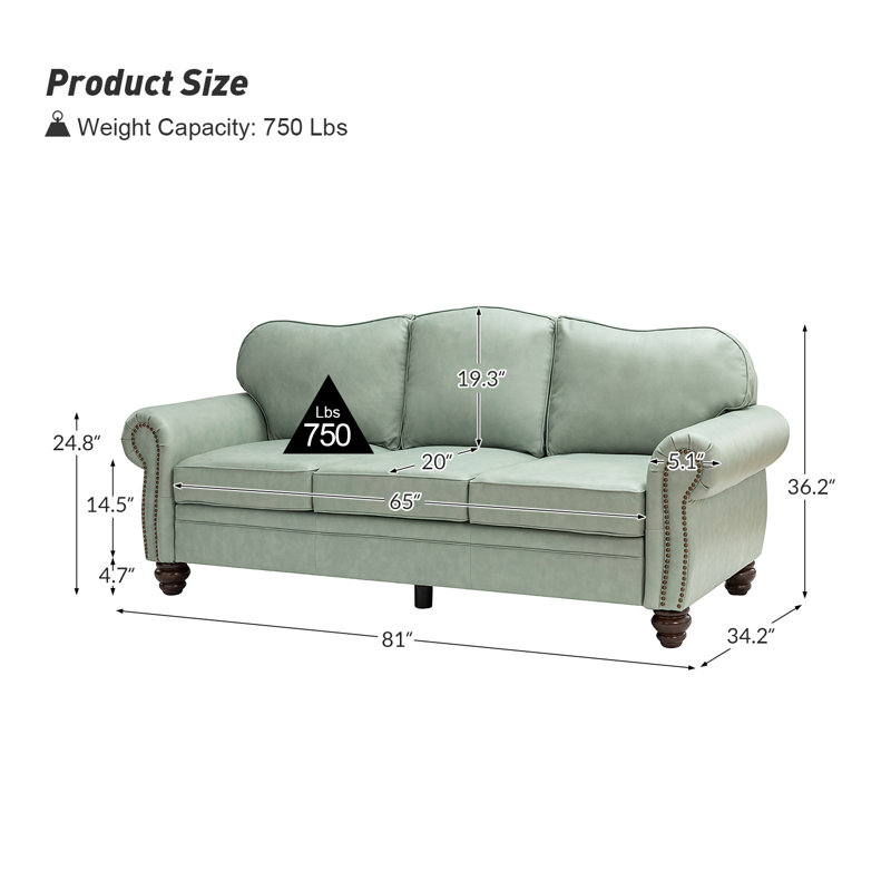 Damore 81'' Wide Genuine Leather Sofa, Sage