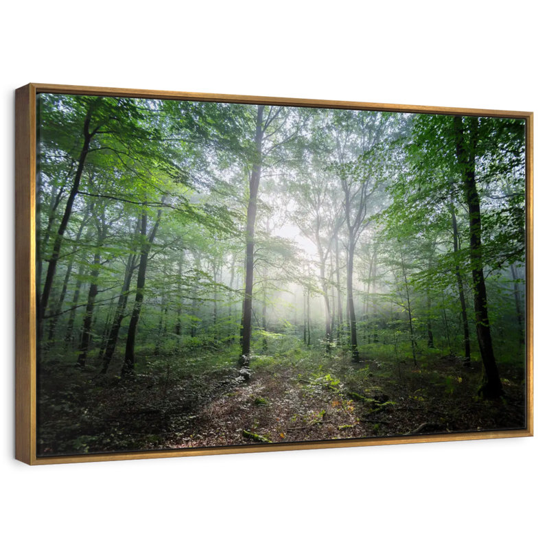 Lighting Forest II, Cadre flottant doré, 13 po x 9 po