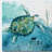 " Delray Sea Turtle I "-364563509