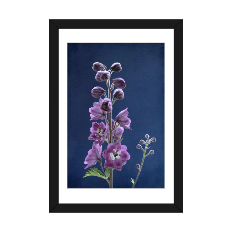 «Purple Delphinium» par Alyson Fennell, reproduction sur toile tendue, H 24 po x l 16 po x P 1 po, Blanc
