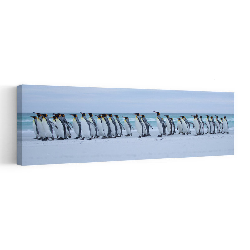 King Penguin March by Cheng Chang - Wrapped Canvas Panoramic Print, 91.44 cm H x 30.48 cm W