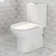Naples 25" Depth Dual Flush Compact Elongated Chair Height One Piece Toilet, 12-inch Rough-in (Seat Included)