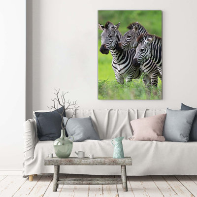 Three Zebras - Wrapped Canvas Print