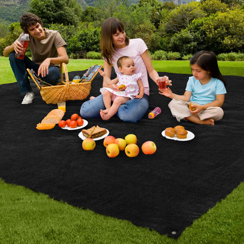 Black Synthetic Outdoor Turf Rug 10' x 15'