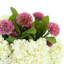 Hydrangea and Dahlia Arrangement in Ridged Vase