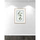 Shabby Elegance Botanical II - Framed Art