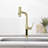 Single Handle Kitchen Faucet with Accessories-96215324