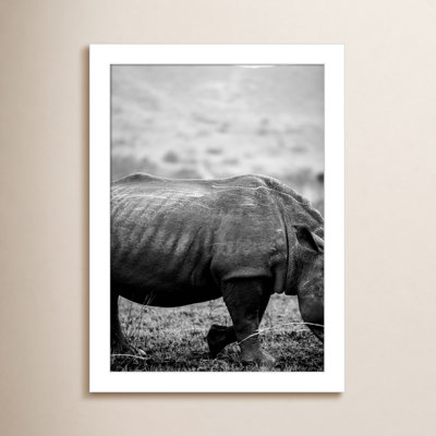 Black Rhino by Shot by Clint Wood Framed Wall Art Print