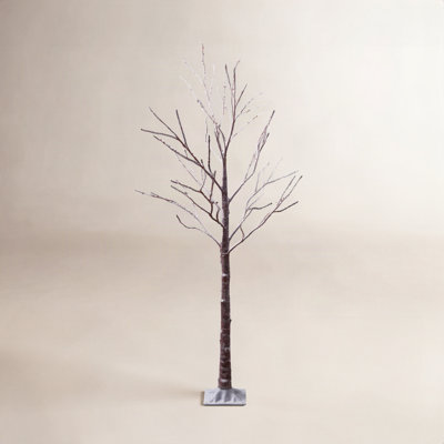 Lighted Trees & Branches