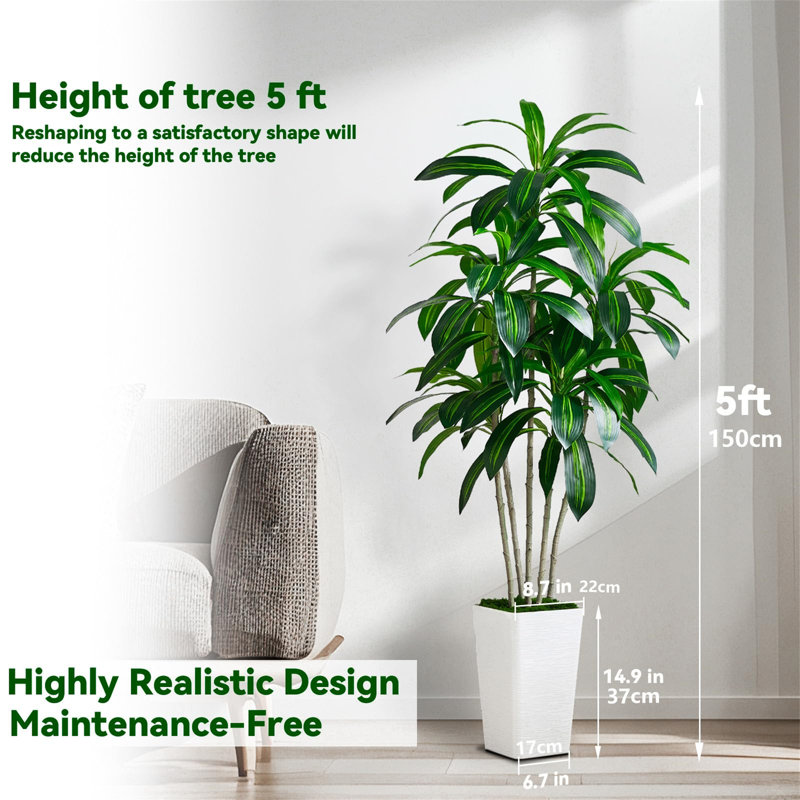 152.4cm Tree