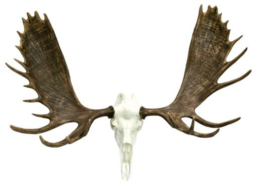Rustic Animals Resin Wall Decor