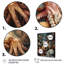 Beaucoup de calamars - animaux, pieuvre, art mural, salon-1246727570-1246727571