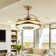 Reinu 38'' Ceiling Fan with LED Lights