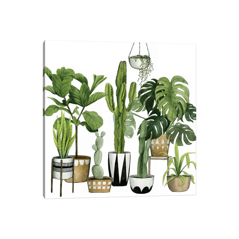 Plant Haven I by Grace Popp - Wrapped Canvas Print, 45.72 cm H x 45.72 cm W x 1.91 cm D