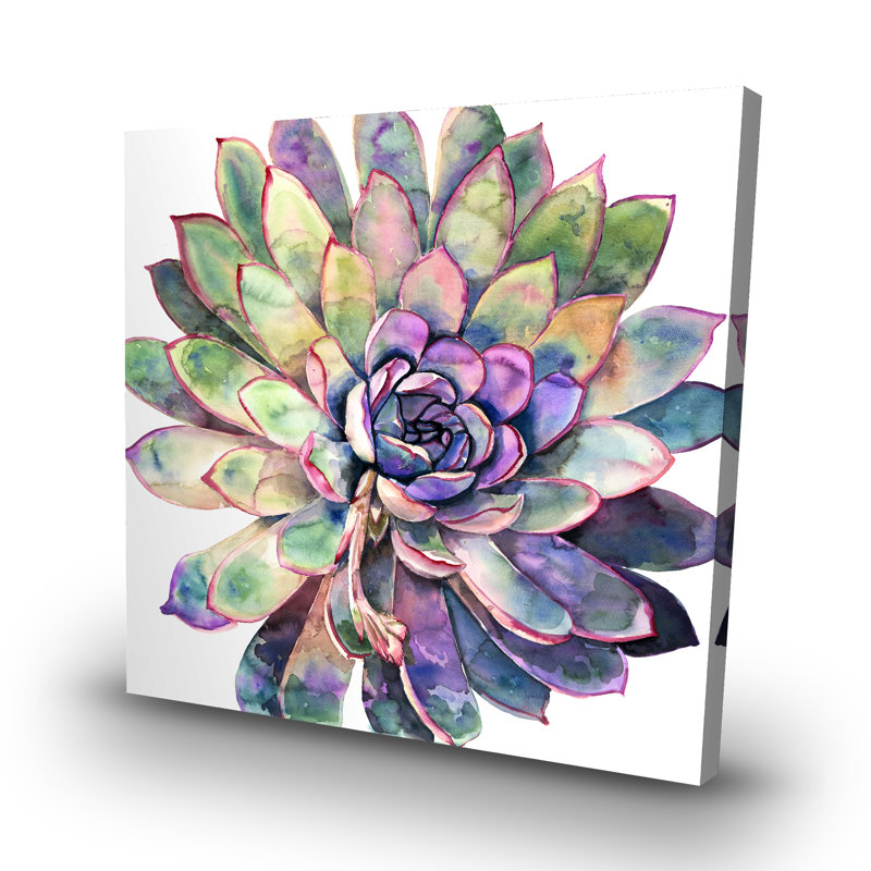 Multicolored succulent  - 32"x32" art on canvas
