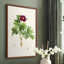 «Pretty Pink Botanicals III», reproduction encadrée - bois massif-451092484-451092485
