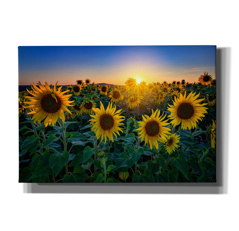 «Aroostook Sunset» par Rick Berk, art mural sur toile, H 18 po x l 26 po x P 0,75 po