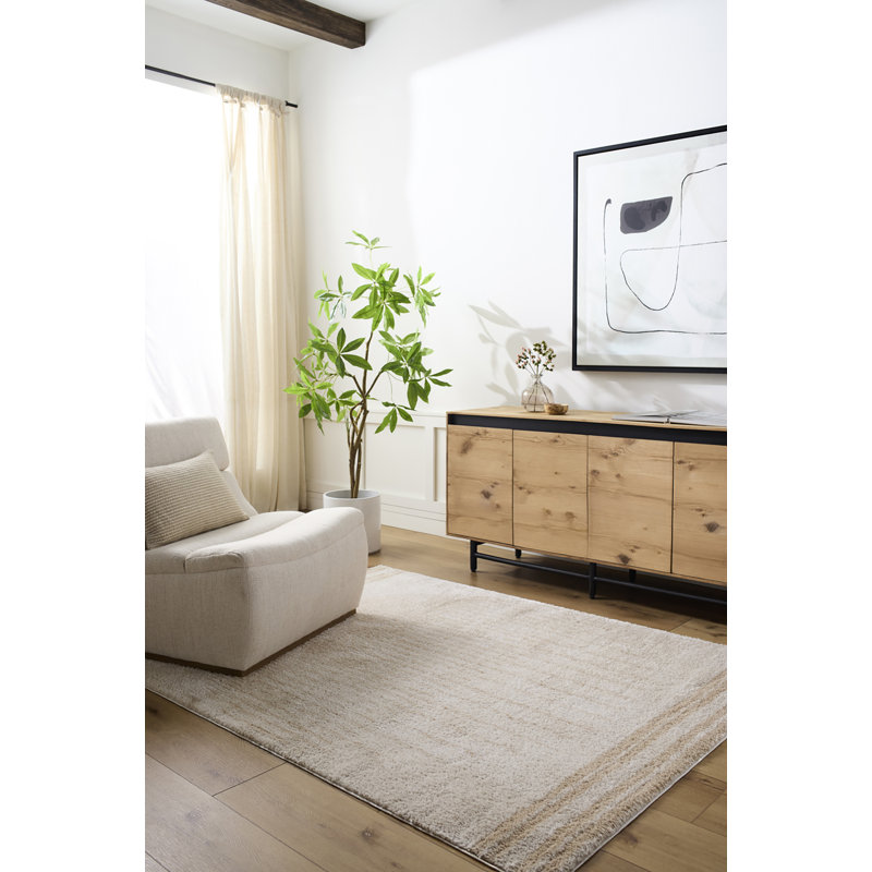 Machine Washable Shaggy Boho Beige Area Rug, Rectangle 200 x 275cm