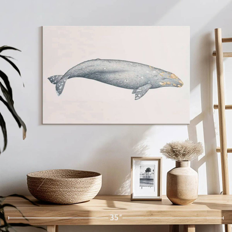 Brampt Gray Whale, 16" H x 24" W