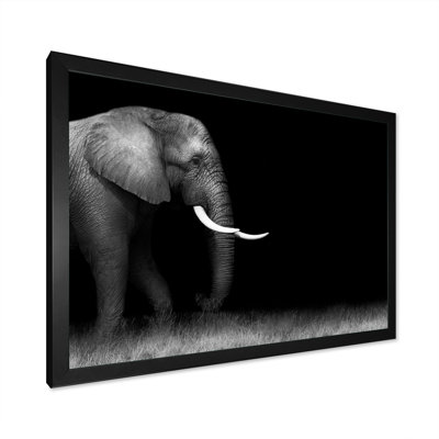 Éléphant en noir et blanc - reproduction d'art sur toile