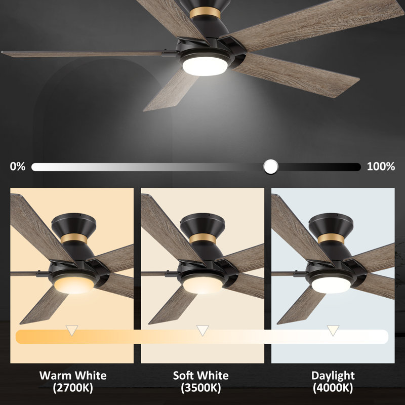 Geovoni 52'' Ceiling Fan with LED Lights