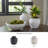 Ashly Vase-25623861