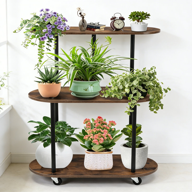 Plant Stand
