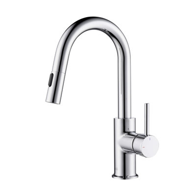 Luxe Pull-Down Kitchen Faucet with Accessories