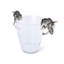 Equestrian Champagne Bucket