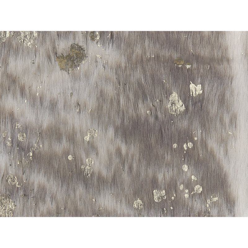 Aimeric Animal Print Cowhide Area Rug, Novelty 150 x 200cm