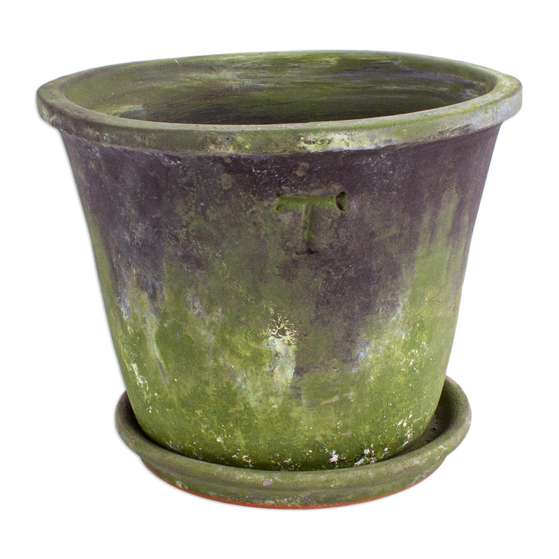 Panavista Ceramic Pot Planter