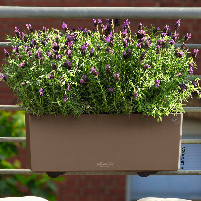 Balconera Window Box Planter, 19 cm H x 50 cm W x 19 cm D, Nutmeg