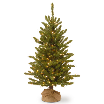 4ft. Kensington Burlap Tree with Clear Lights