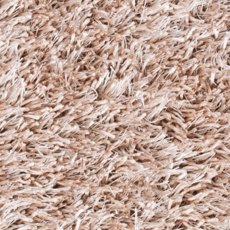 Assar Shag Beige Area Rug , Rectangle 2' x 3'