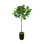 7' Faux Fiddle Leaf Fig Tree