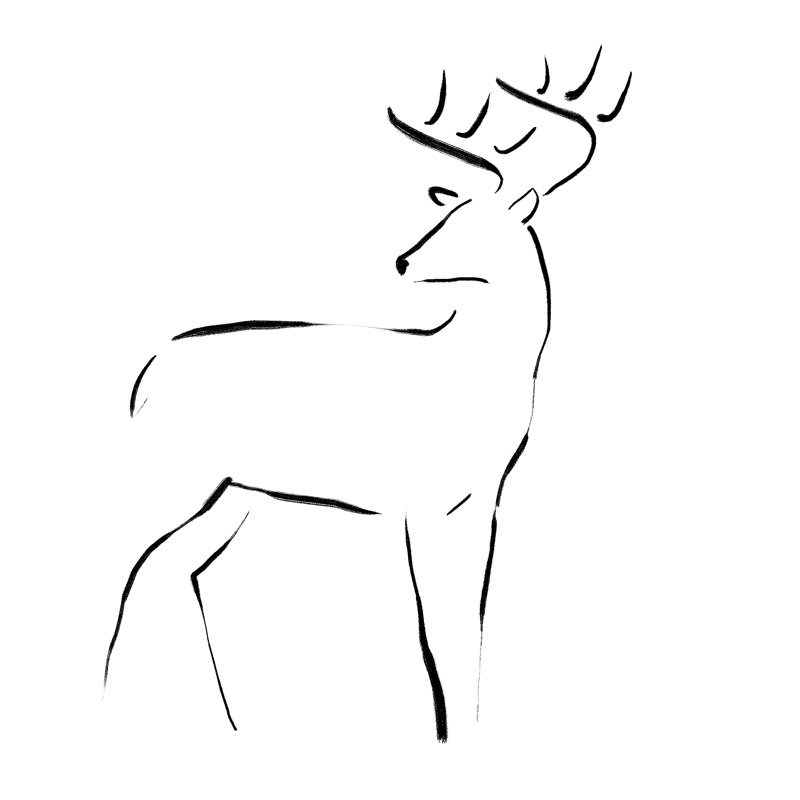 Contour Deer - Wrapped Canvas Painting, 91cm H x 91cm W x 3.8cm D