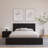 Bonadie Panel Headboard-1212200820-1250947760